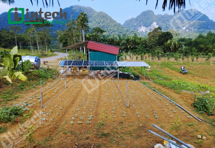 Bàn giao hệ thống điện mặt trời độc lập 3.6kWp cho hợp tác xã trồng rau sạch tại Thanh Hoá