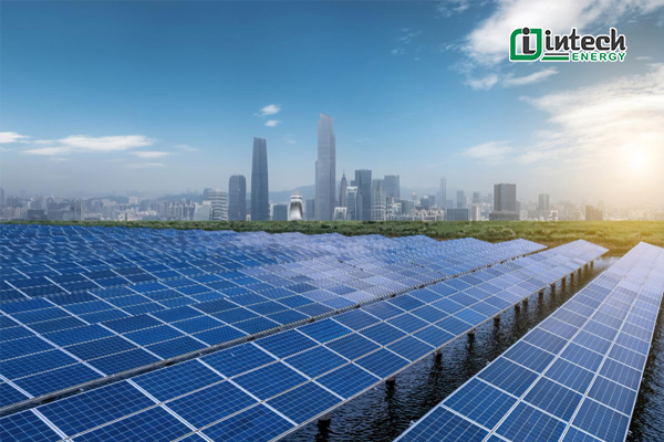 5 Kinh nghiệm mua pin mặt trời hiệu quả, chất lượng Kinh nghiệm mua pin mặt trời